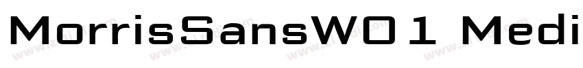 MorrisSansW01 Medium字体转换